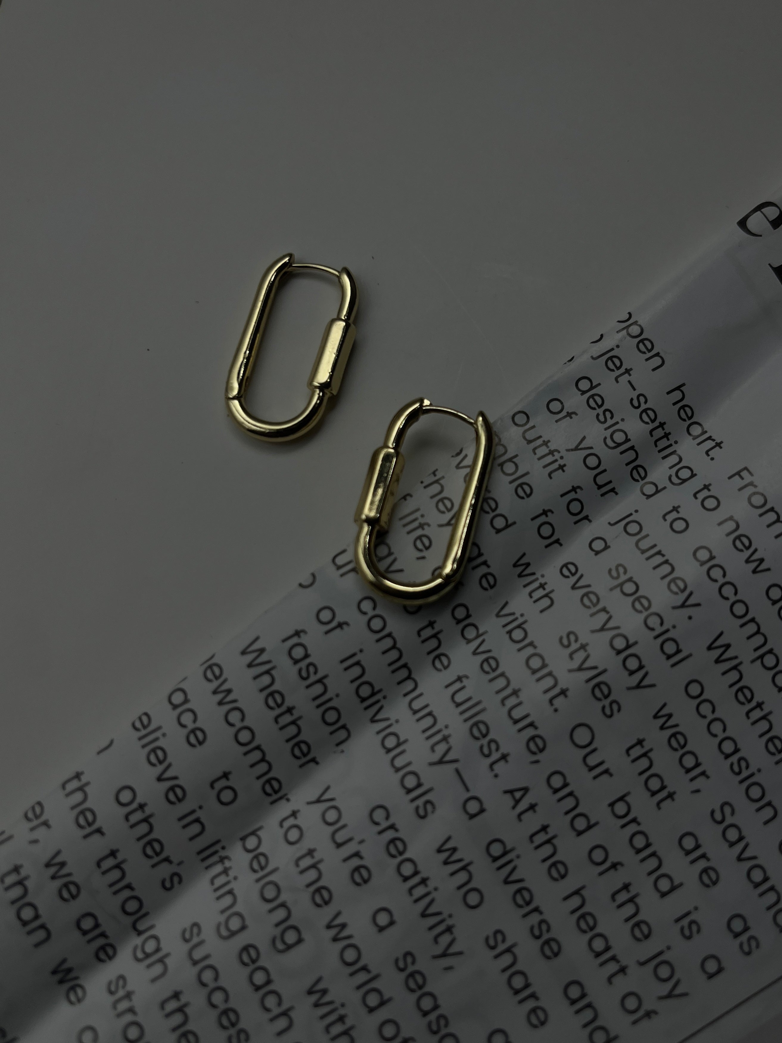 STAINLESS STEEL HOOK EARRING